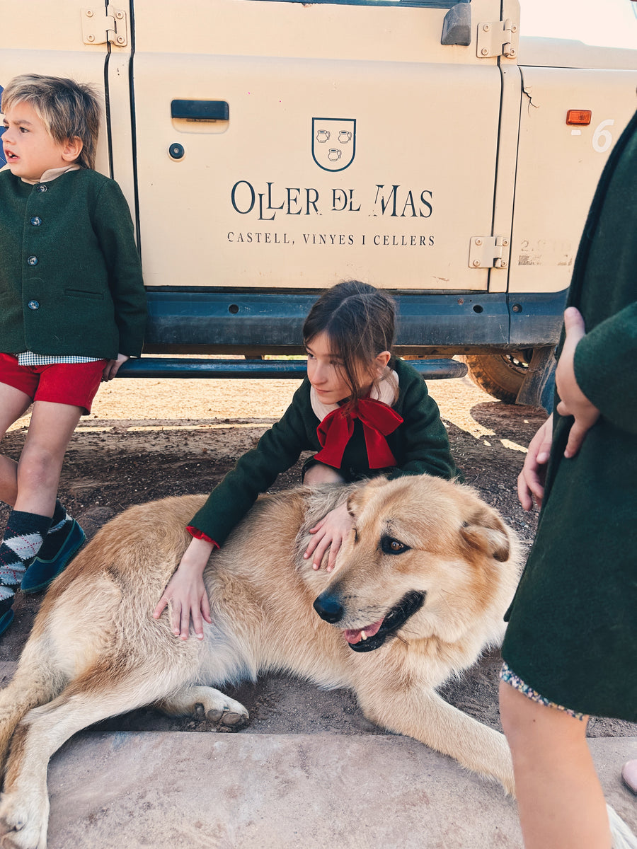 Chaqueta Niño Verde