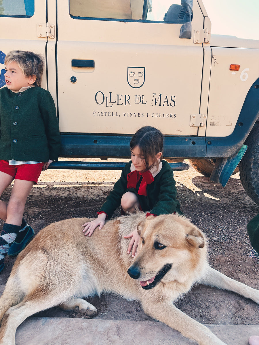 Chaqueta Niño Verde